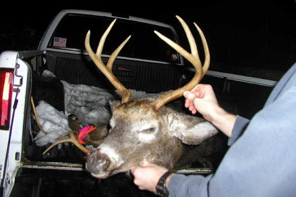 6 pointer