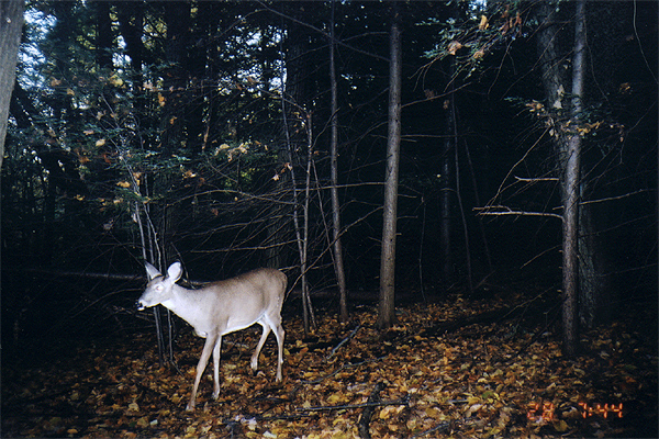 doe_oct_02