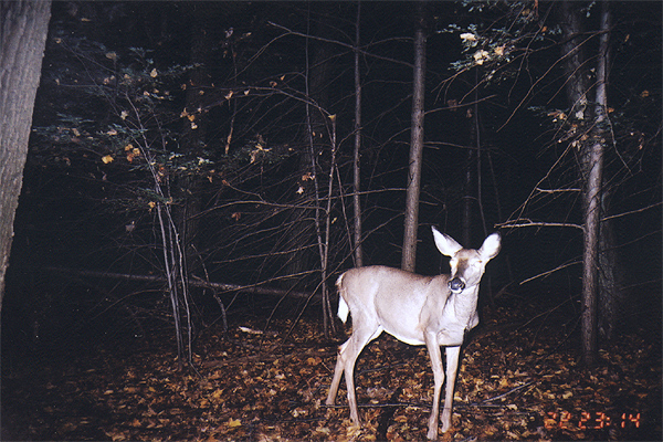 doe_oct_04