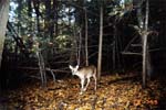 doe_oct_01