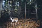 doe_oct_03